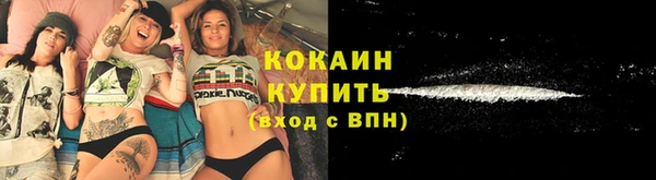 дживик Корсаков