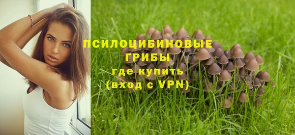 тгк Козловка