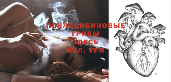 тгк Козловка